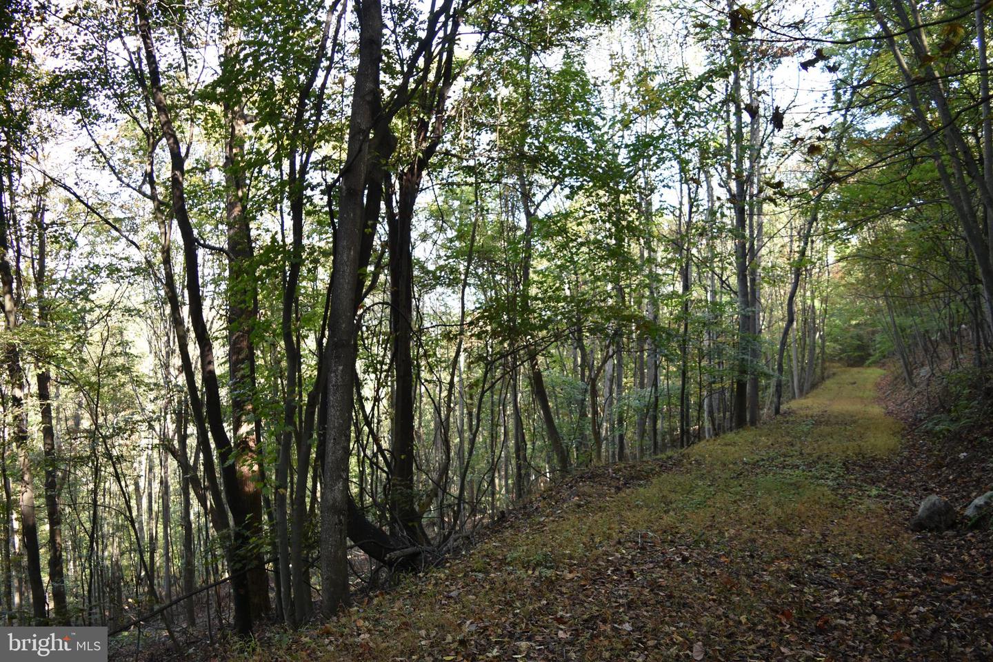 2083 Clay Pits Ln Property Photo 24