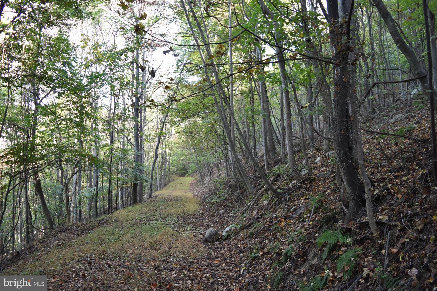 2083 Clay Pits Ln Property Photo 25
