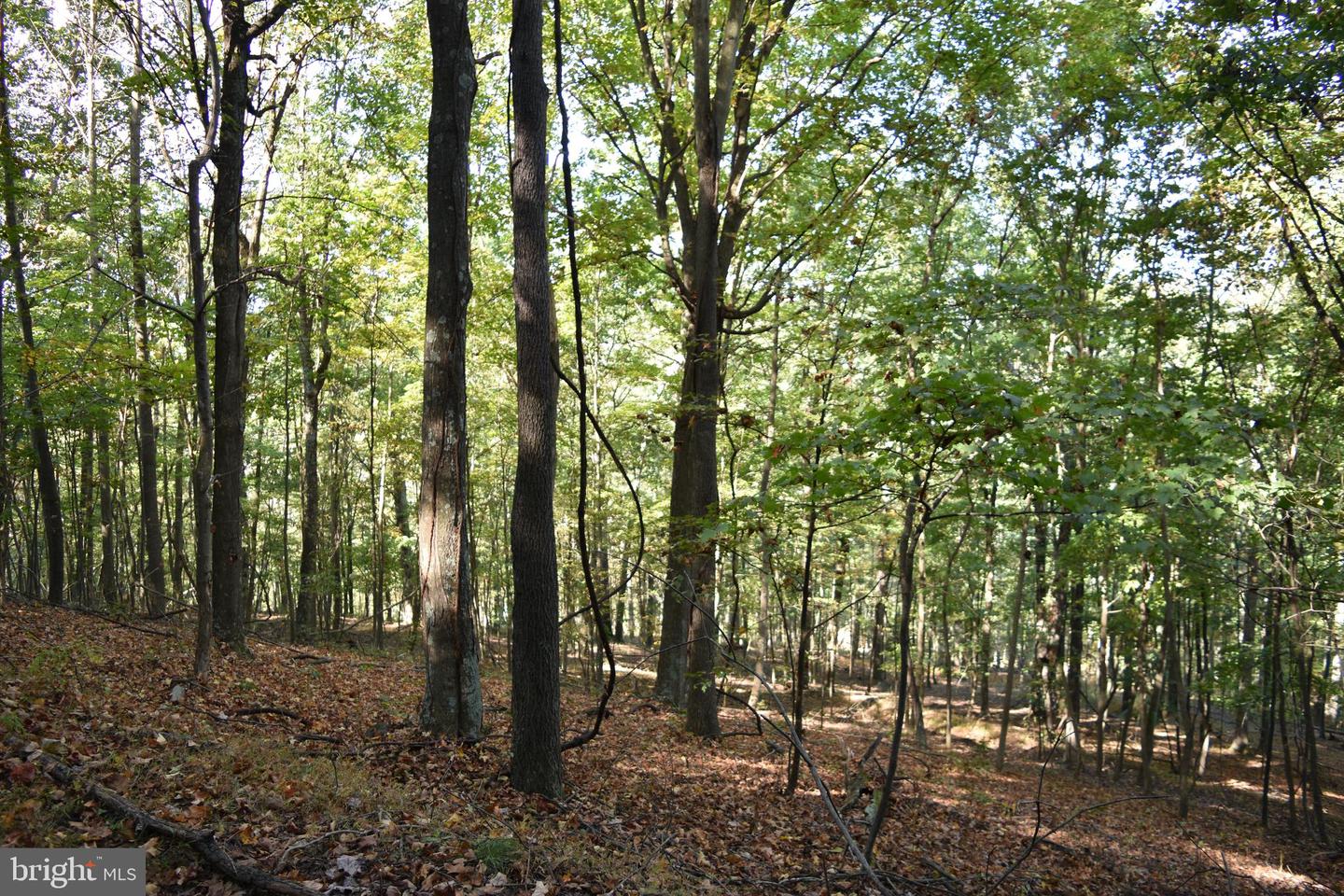 2083 Clay Pits Ln Property Photo 26