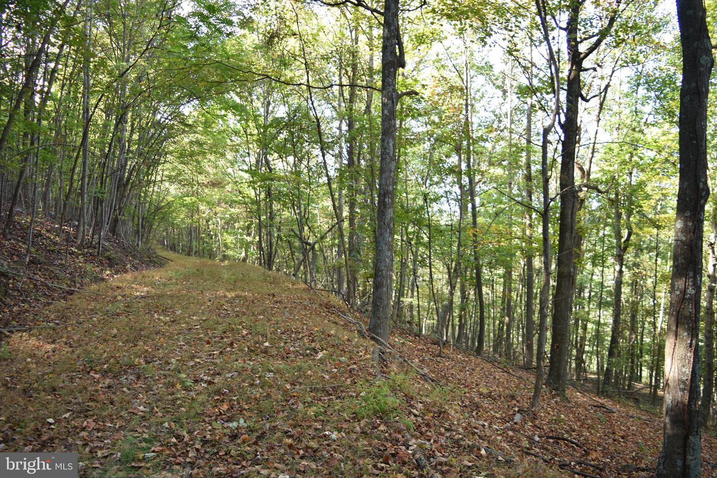 2083 Clay Pits Ln Property Photo 27