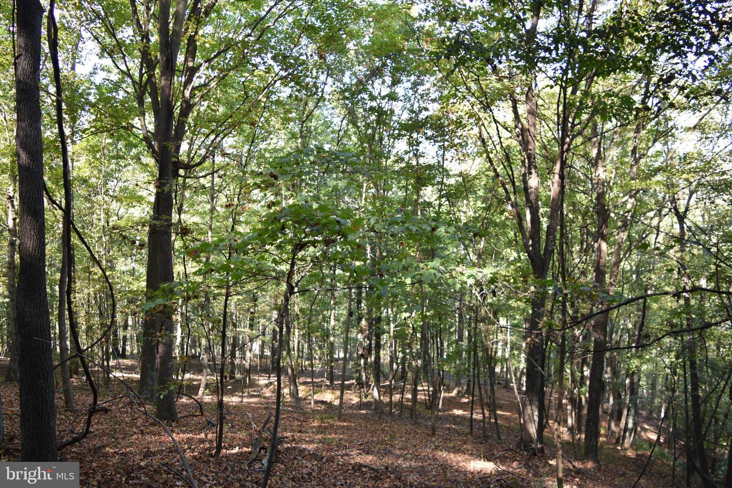 2083 Clay Pits Ln Property Photo 28