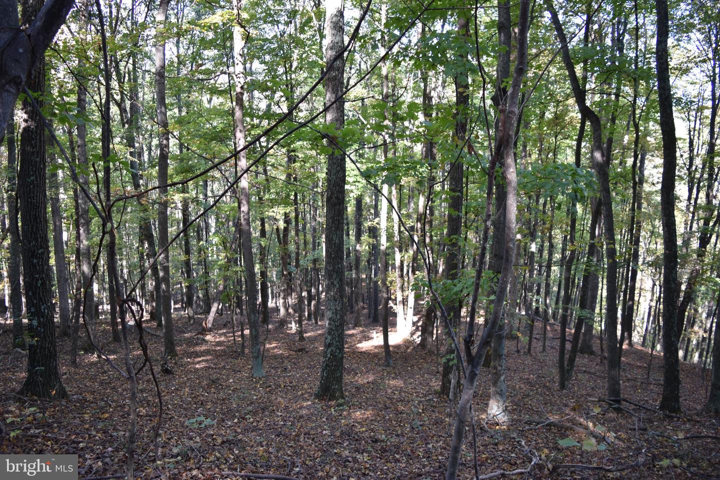 2083 Clay Pits Ln Property Photo 29