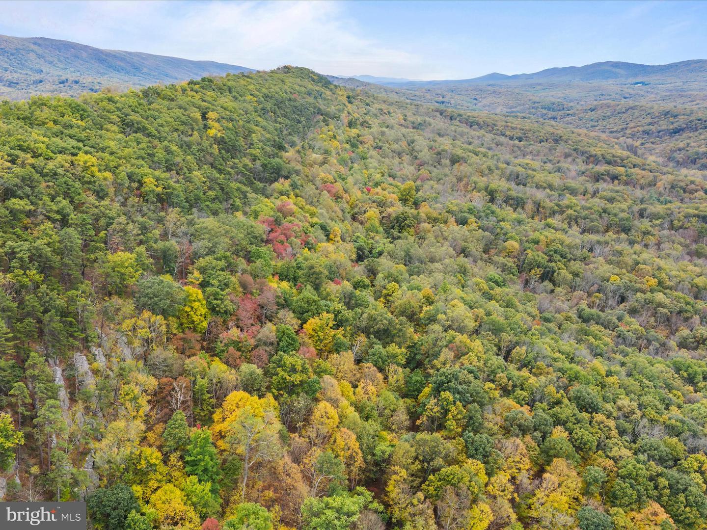 2083 Clay Pits Ln Property Photo 34