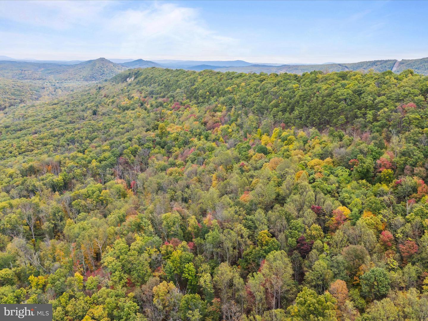 2083 Clay Pits Ln Property Photo 37