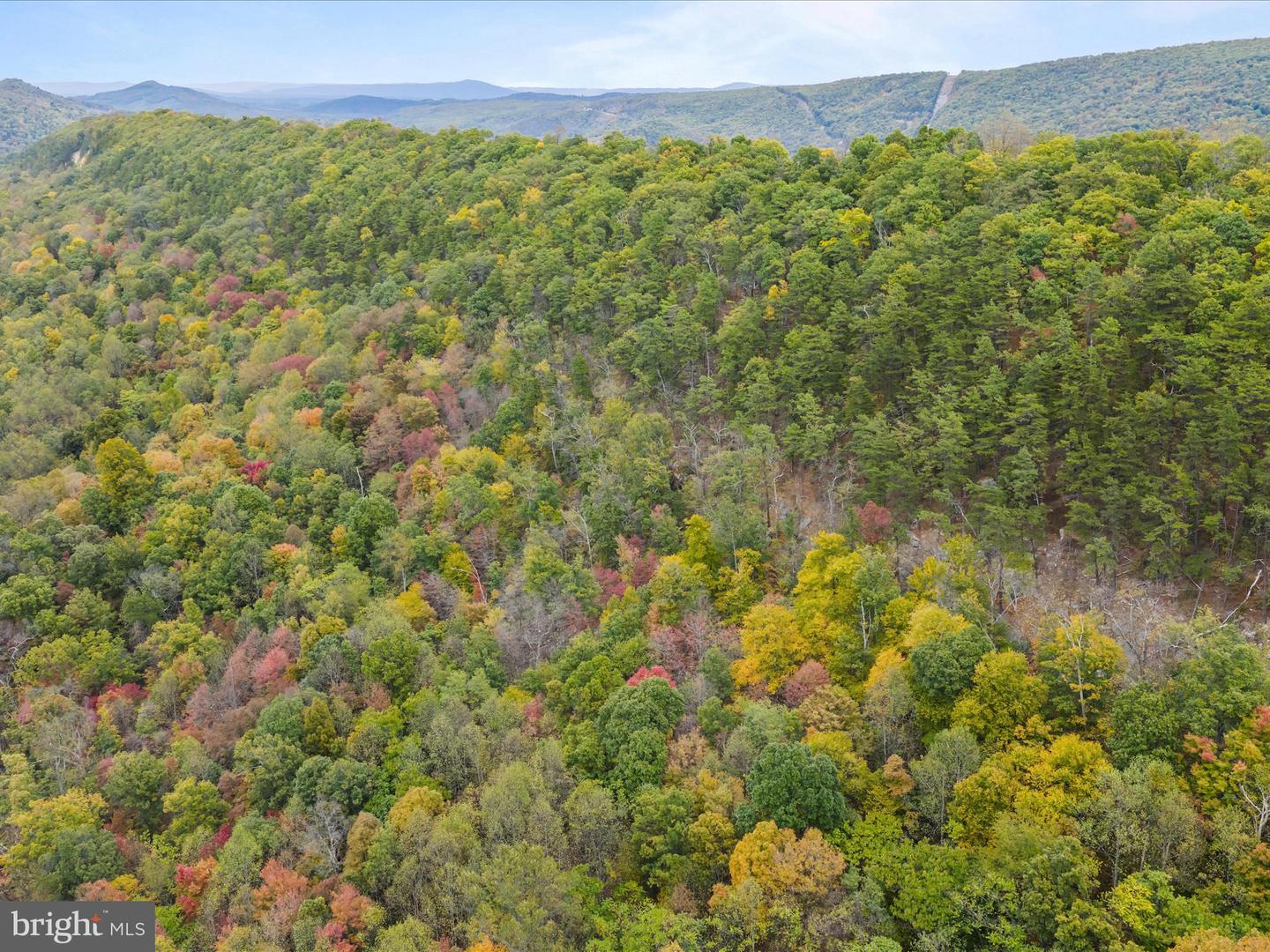 2083 Clay Pits Ln Property Photo 44