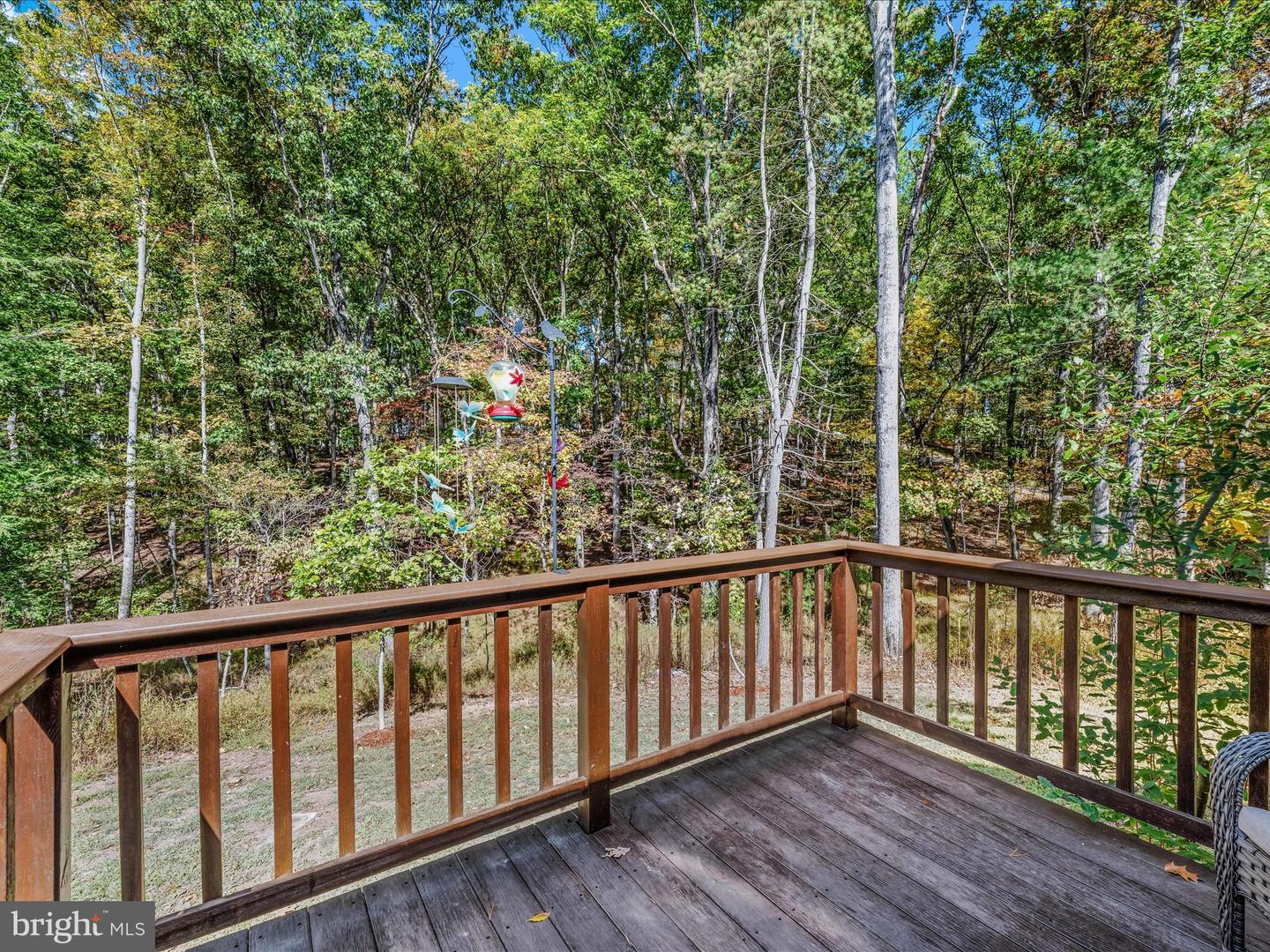 269 Mountain Laurel Dr Property Photo 15