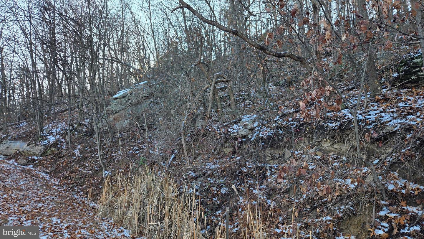 Arran Ln Property Photo 4