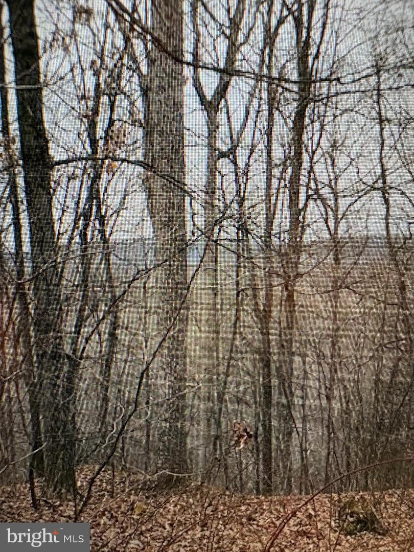 Lot 9 Property Photo 1