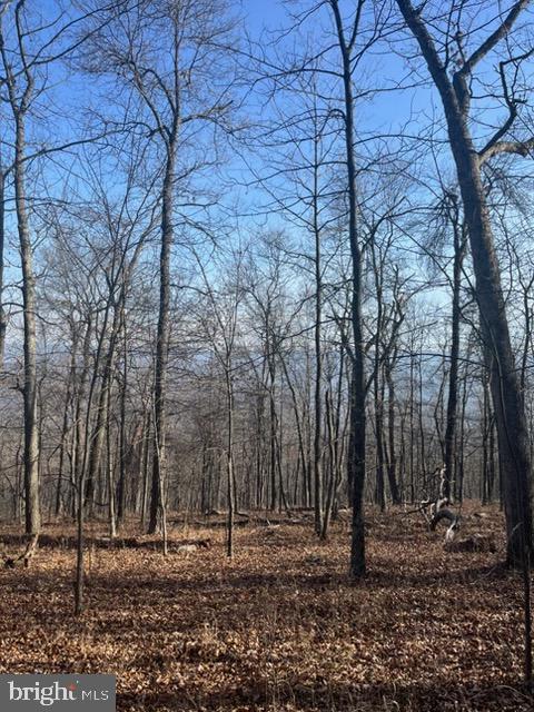 Quaint Acres Property Photo 3