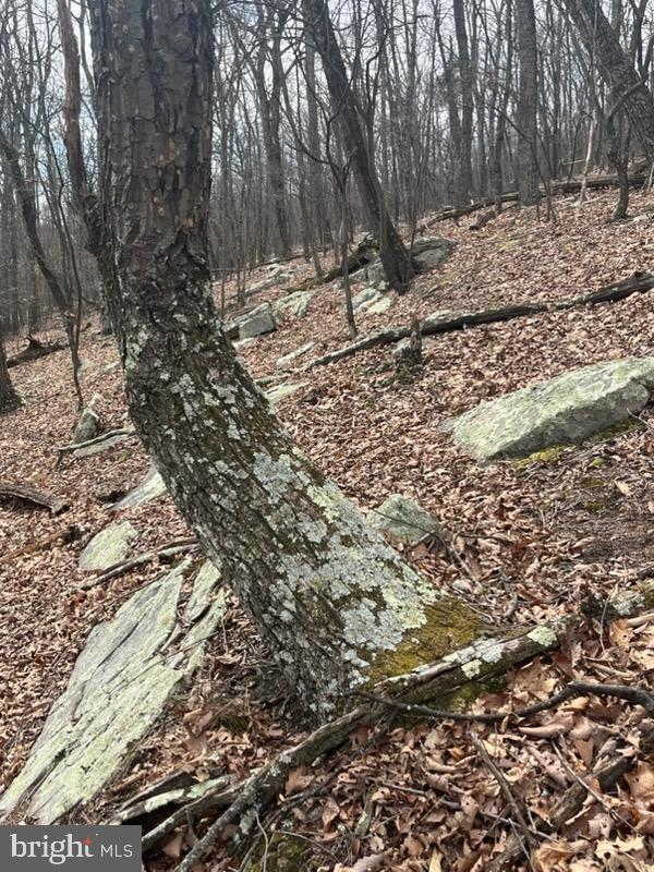 Quaint Acres Property Photo 11