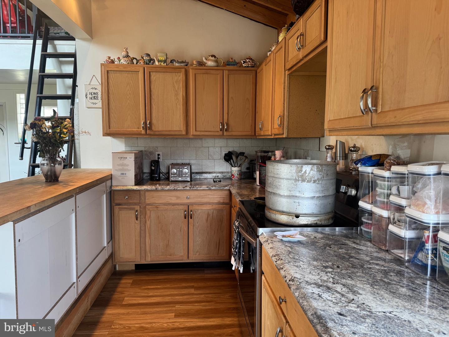 1821 Bears Lope Ln Property Photo 24
