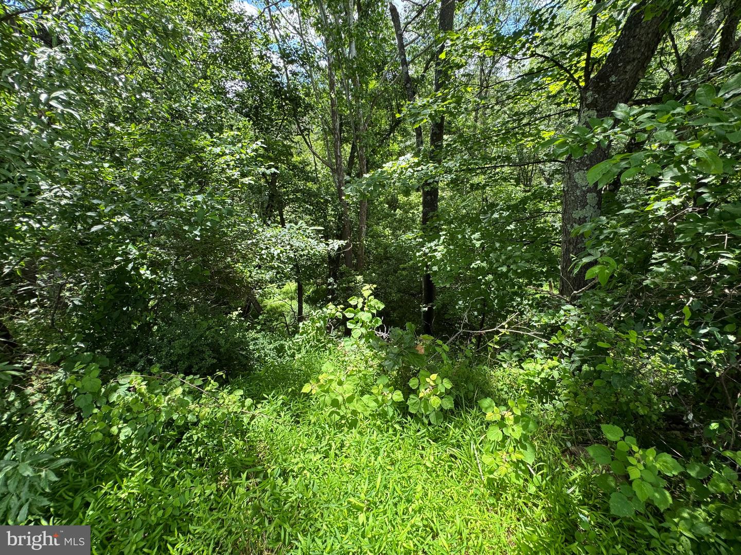 Sand Mine Rd #9 Lots Property Photo 7