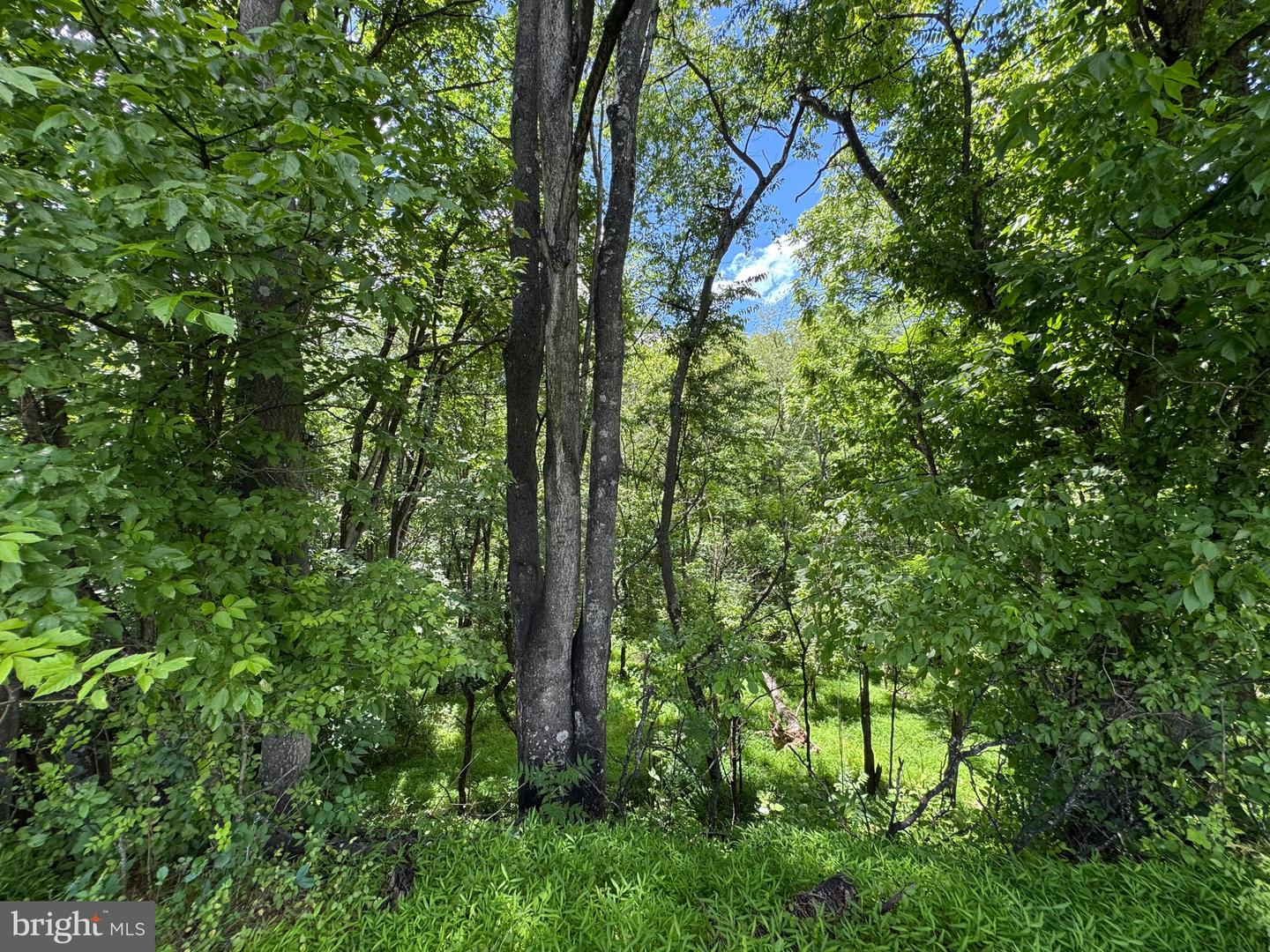 Sand Mine Rd #9 Lots Property Photo 8