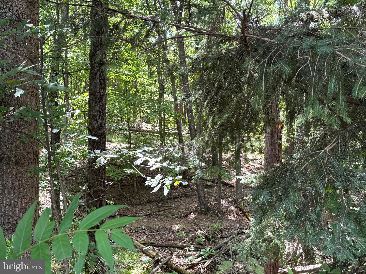 Sand Mine Rd #9 Lots Property Photo 9