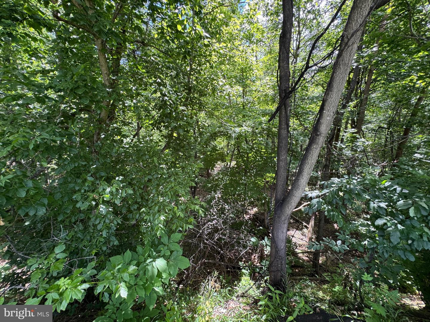 Sand Mine Rd #9 Lots Property Photo 10