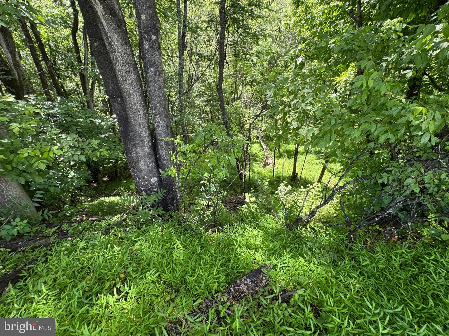 Sand Mine Rd #9 Lots Property Photo 11