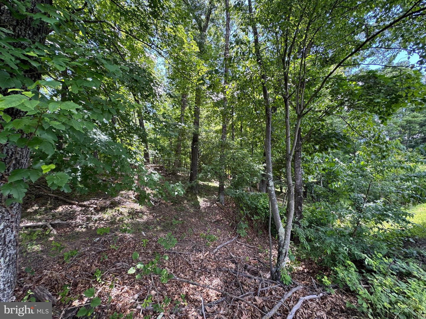 Sand Mine Rd #9 Lots Property Photo 12
