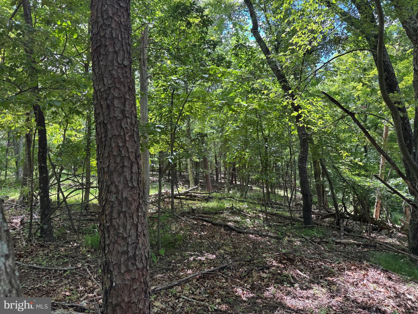 Sand Mine Rd #9 Lots Property Photo 13