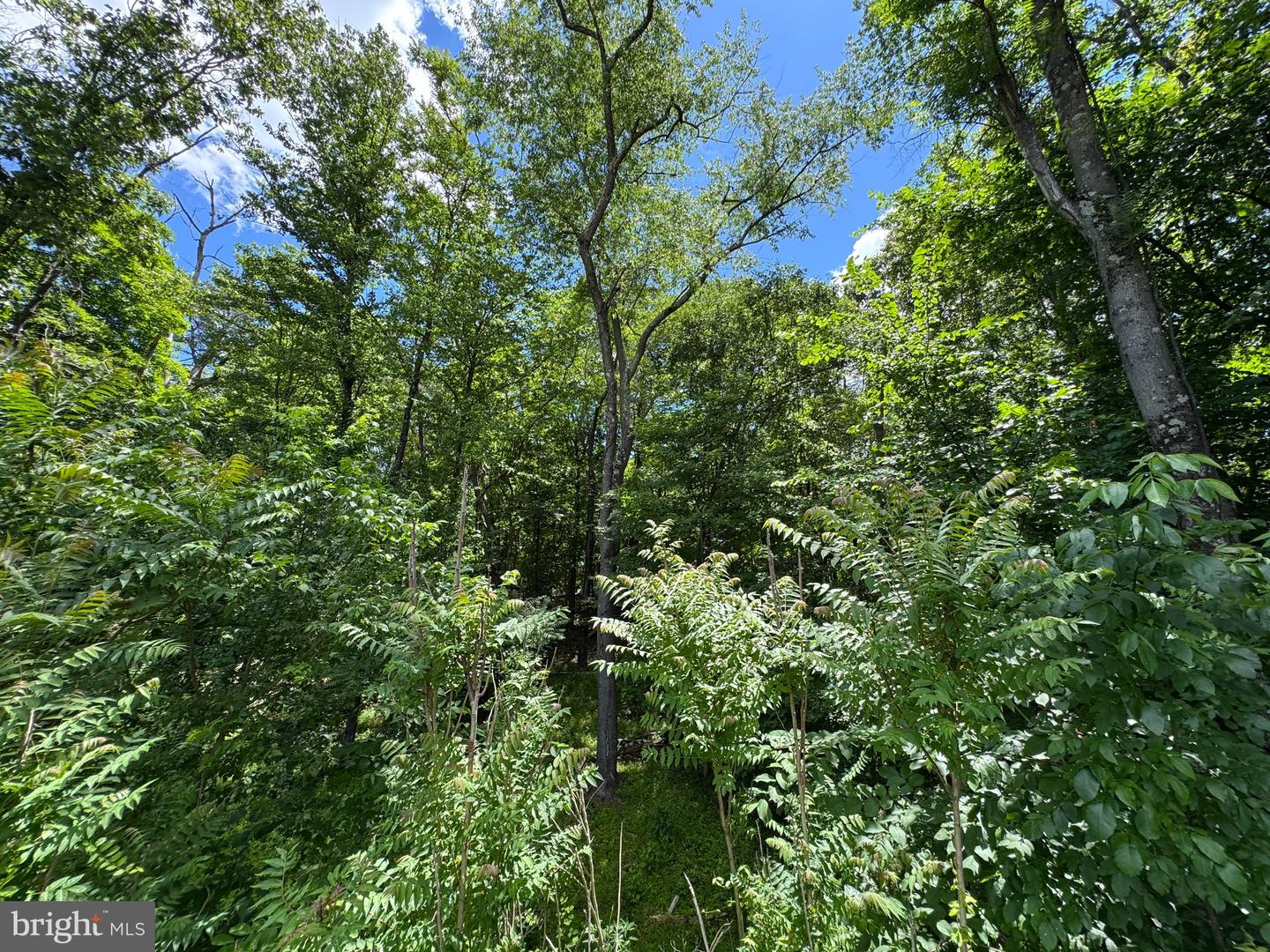 Sand Mine Rd #9 Lots Property Photo 14