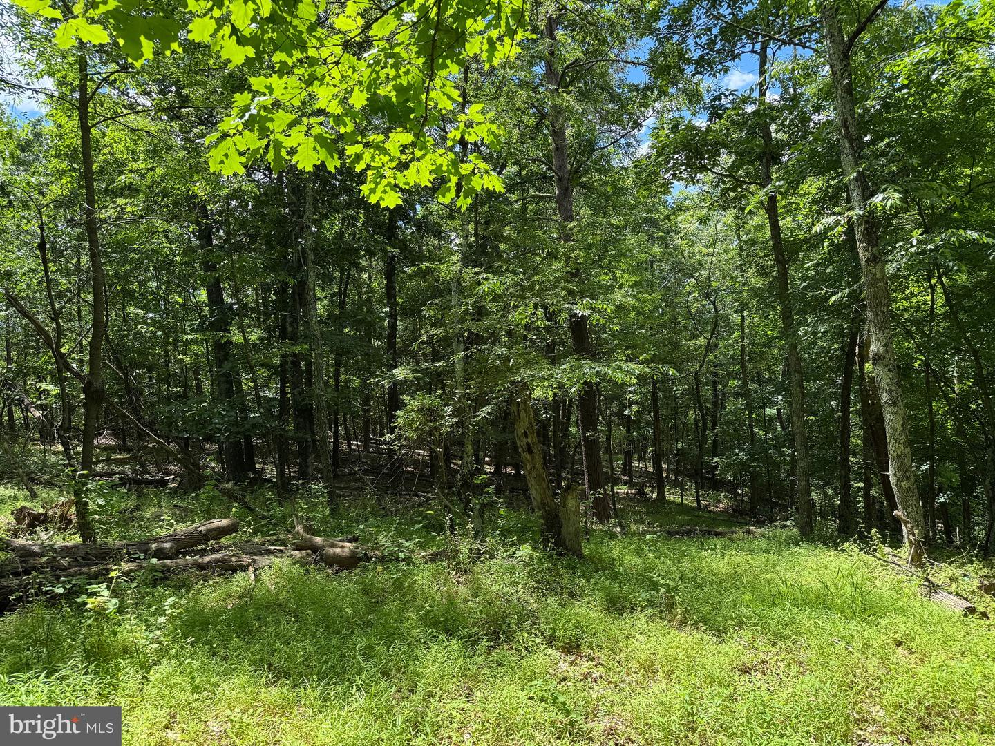 Sand Mine Rd #9 Lots Property Photo 15