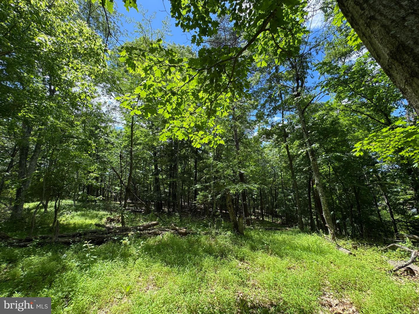Sand Mine Rd #9 Lots Property Photo 17