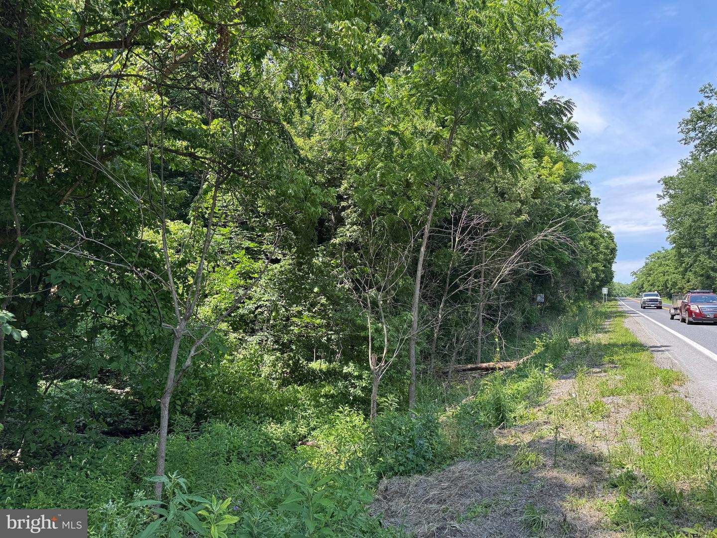 522 #6 Lots Property Photo 3