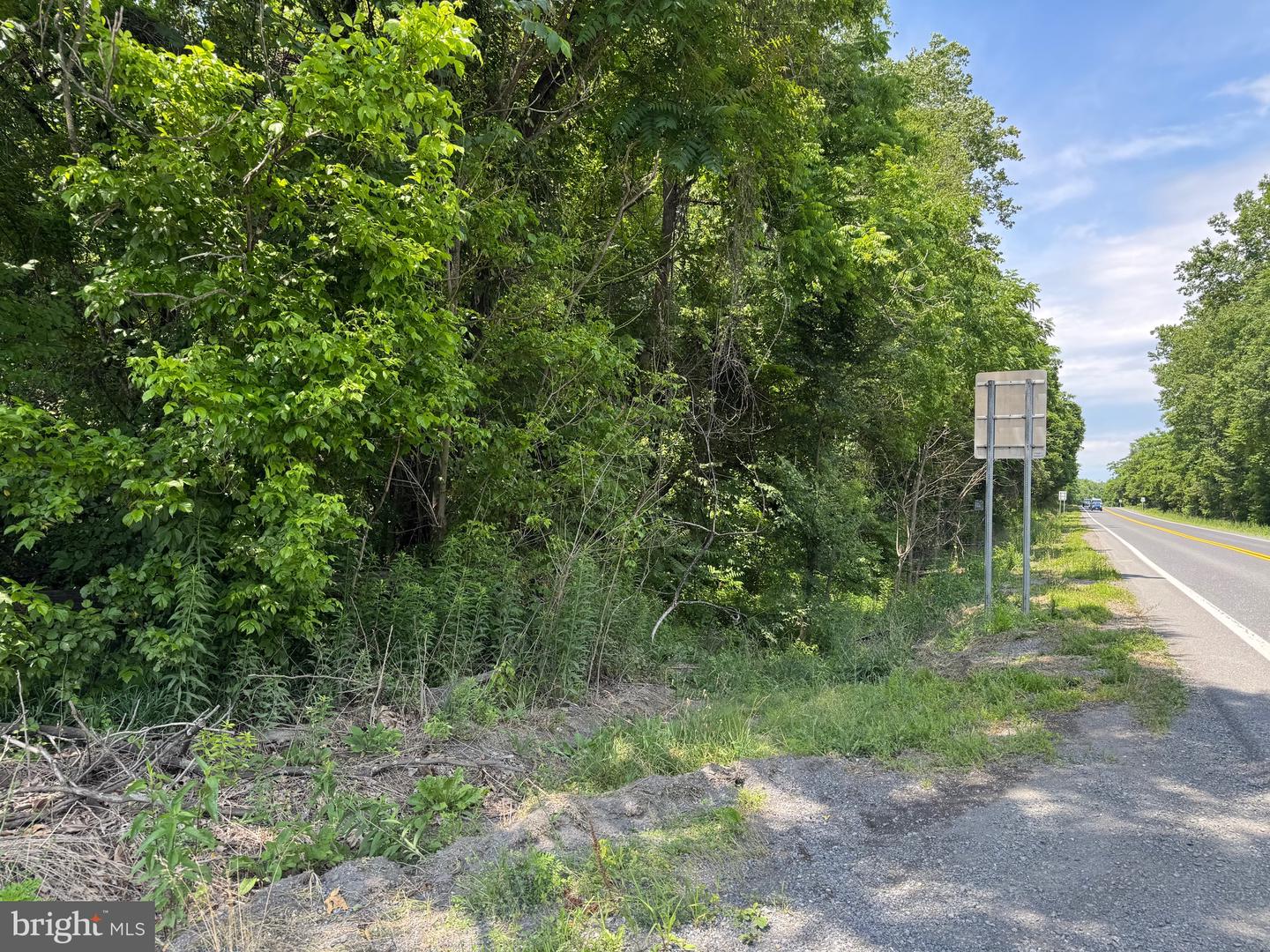 522 #6 Lots Property Photo 4