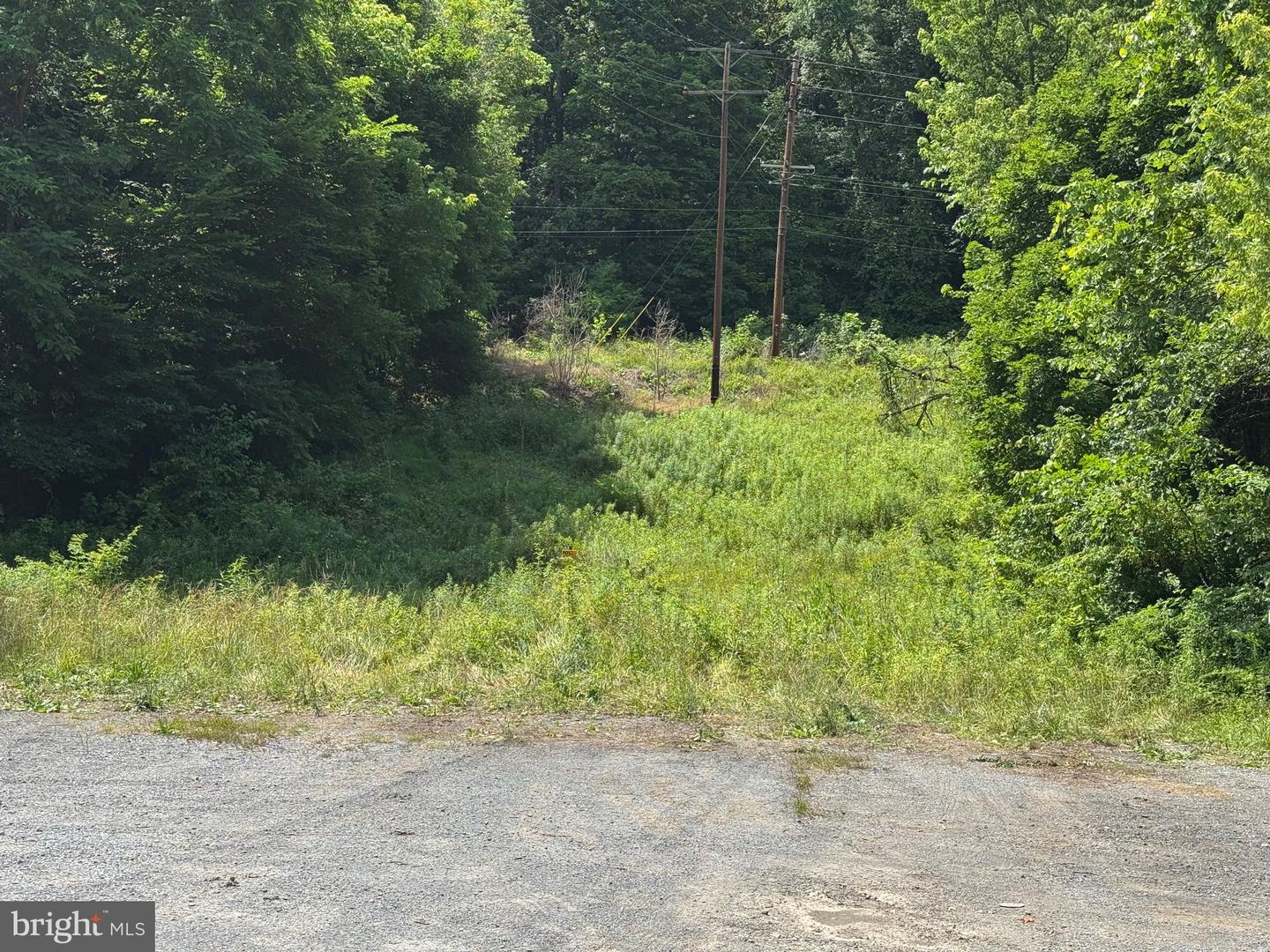 522 #6 Lots Property Photo 6