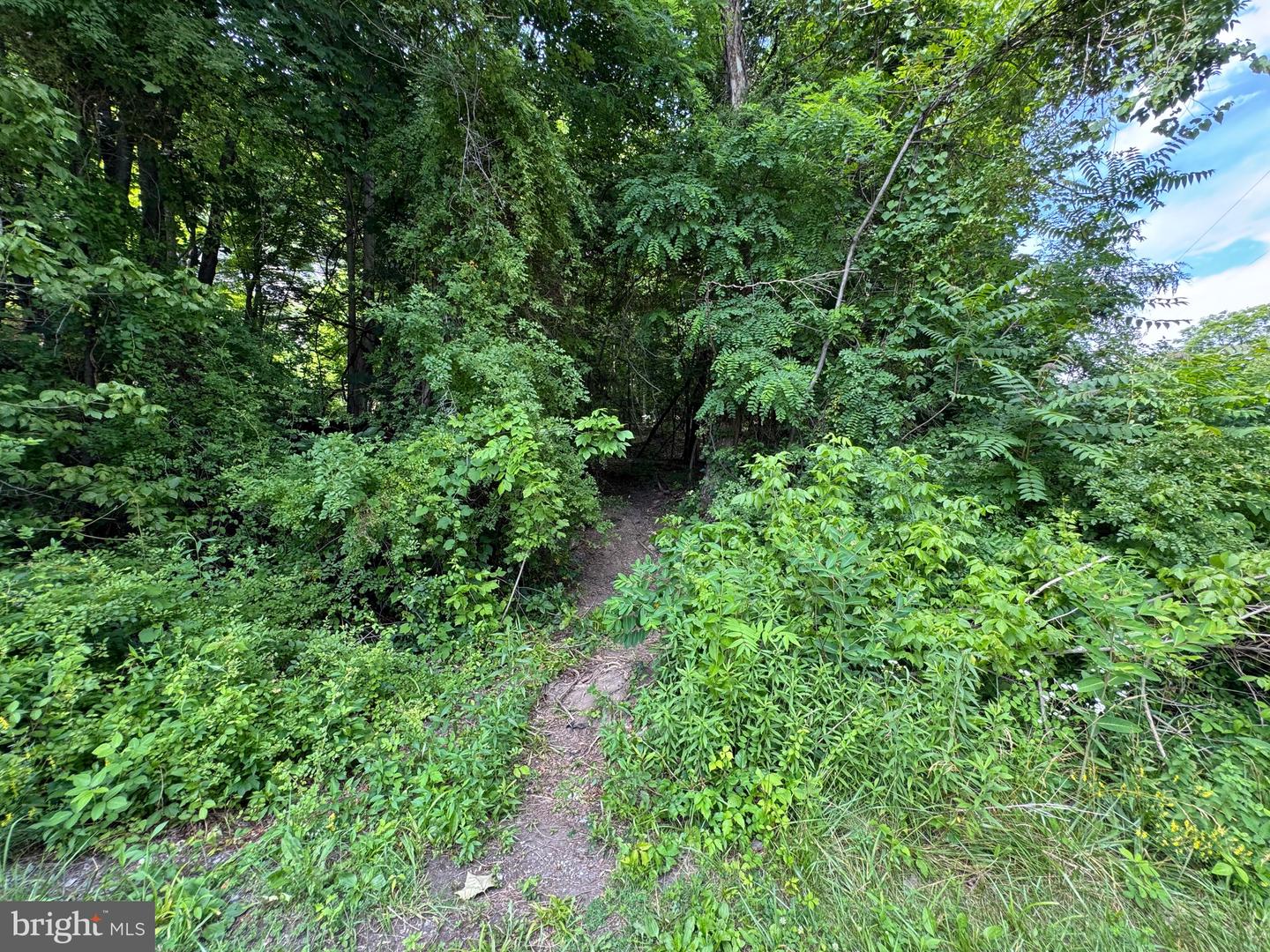 522 #6 Lots Property Photo 11