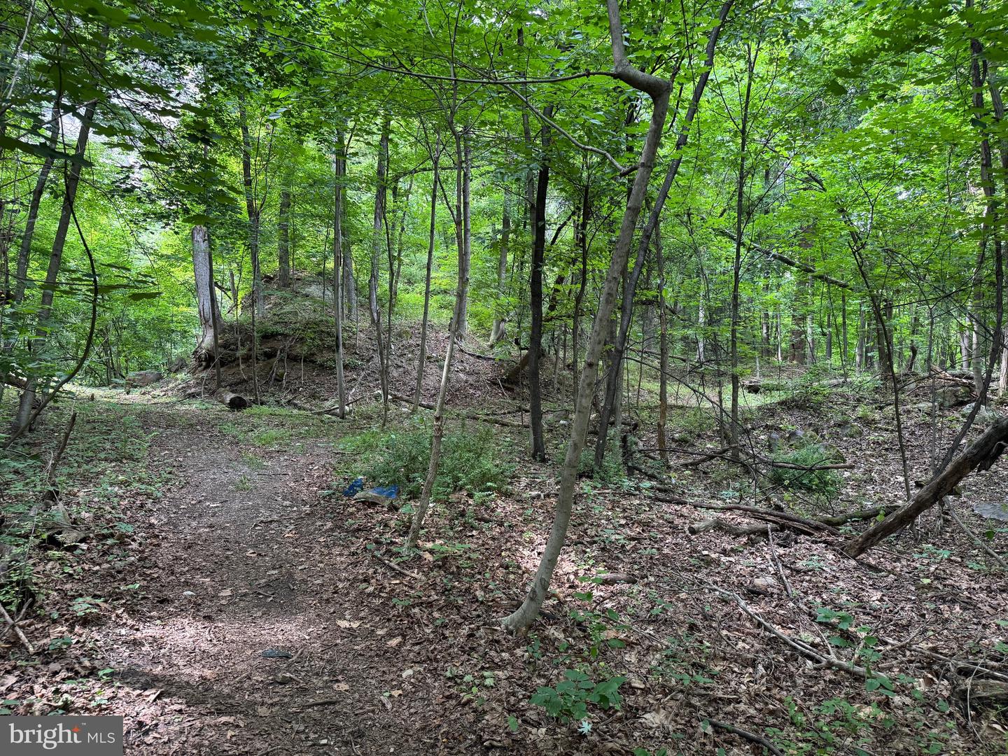 522 #6 Lots Property Photo 12