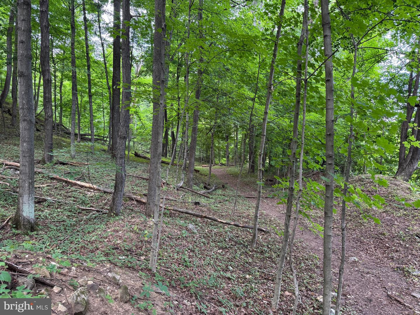 522 #6 Lots Property Photo 13