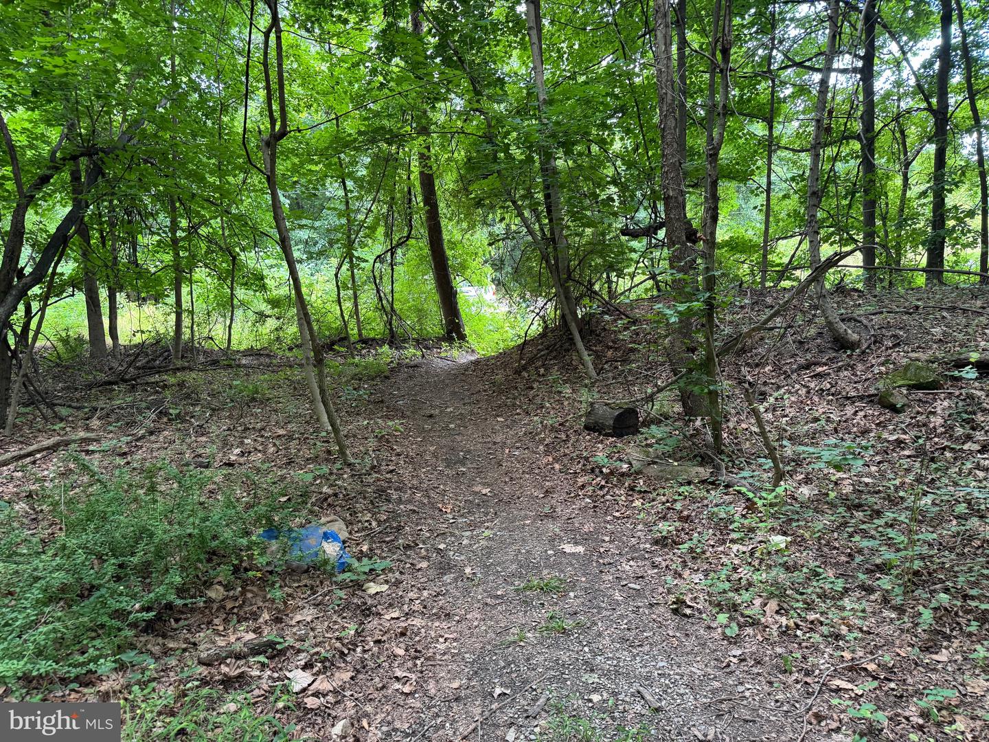 522 #6 Lots Property Photo 15