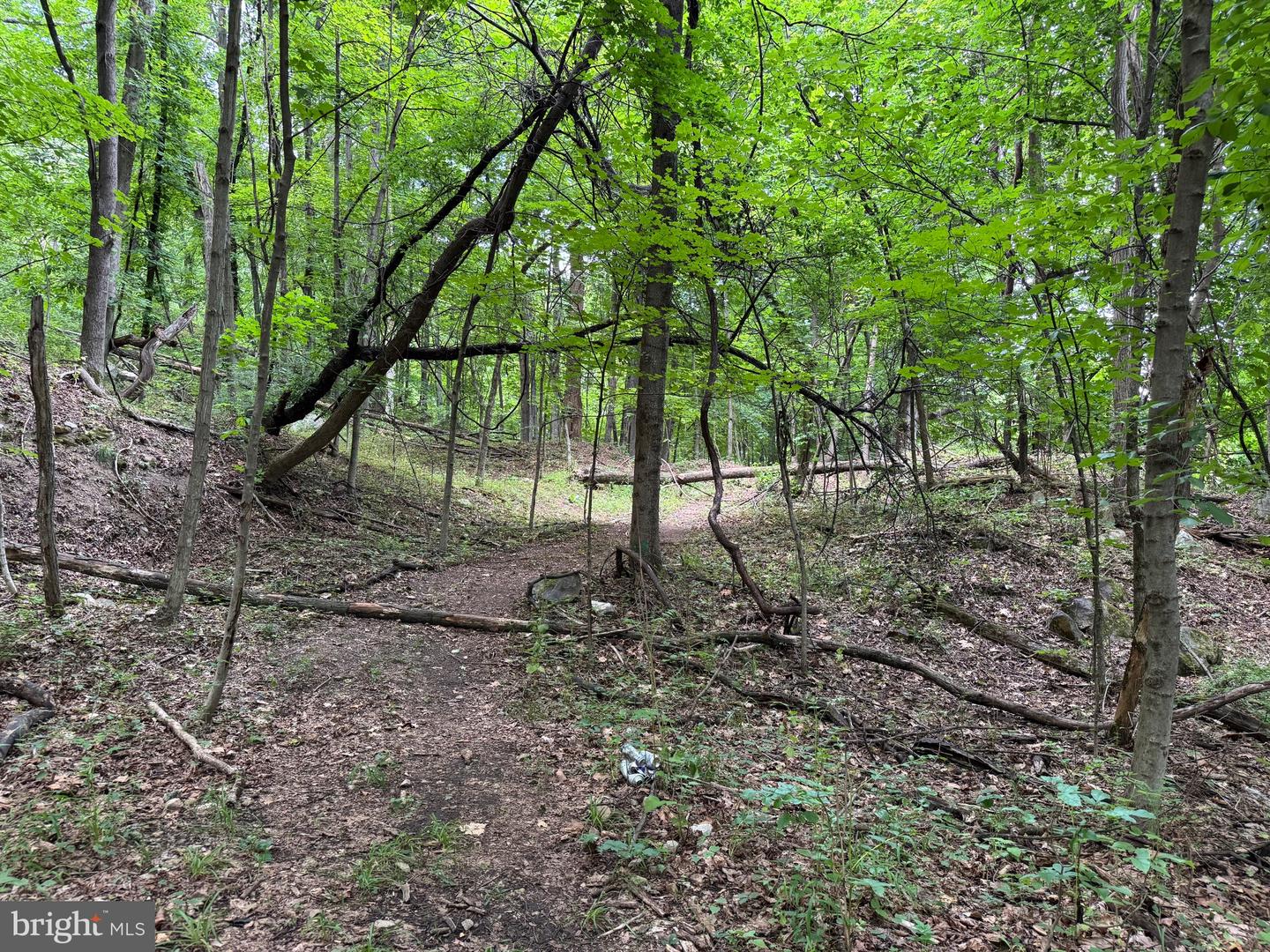522 #6 Lots Property Photo 16