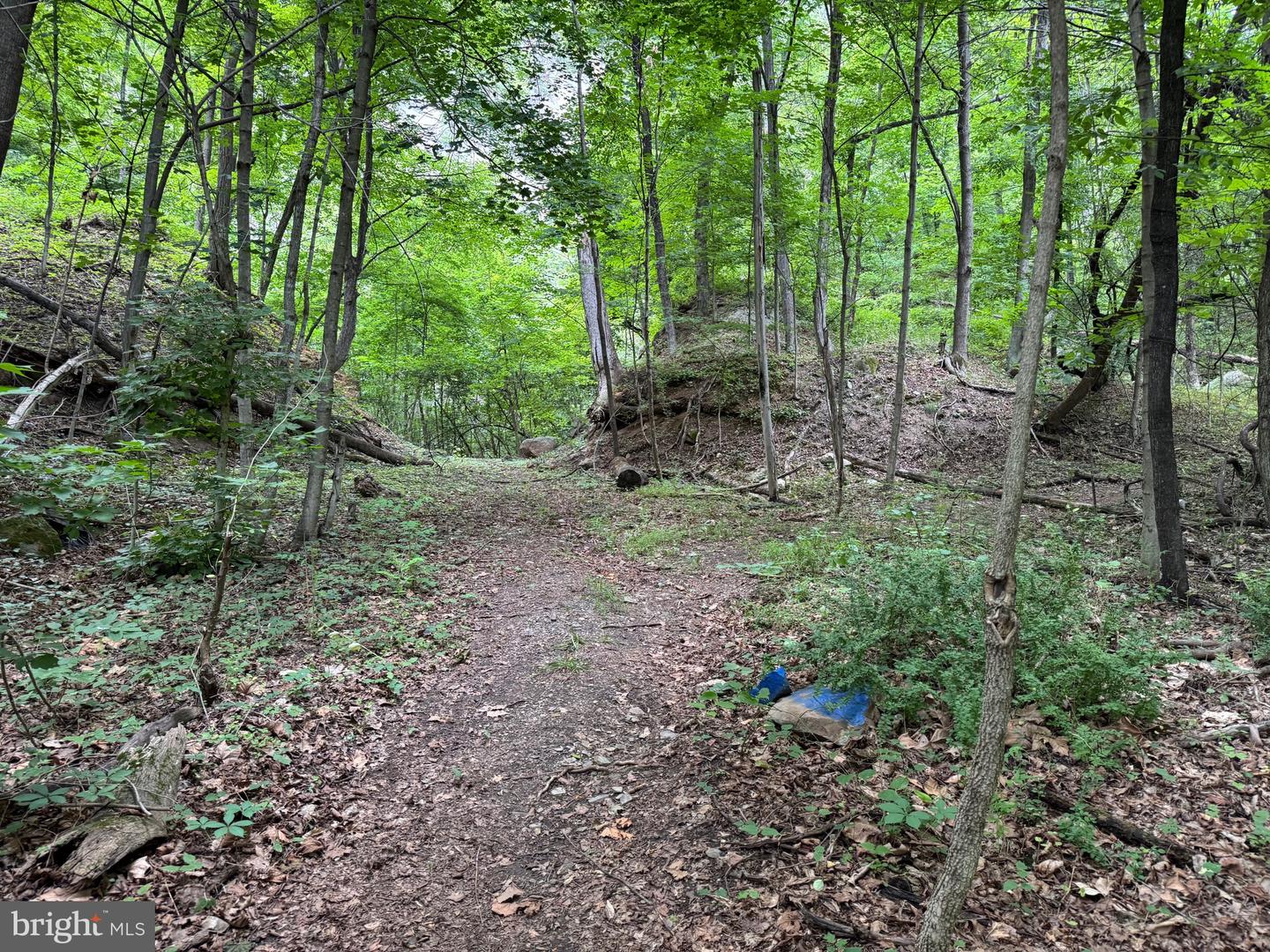 522 #6 Lots Property Photo 18