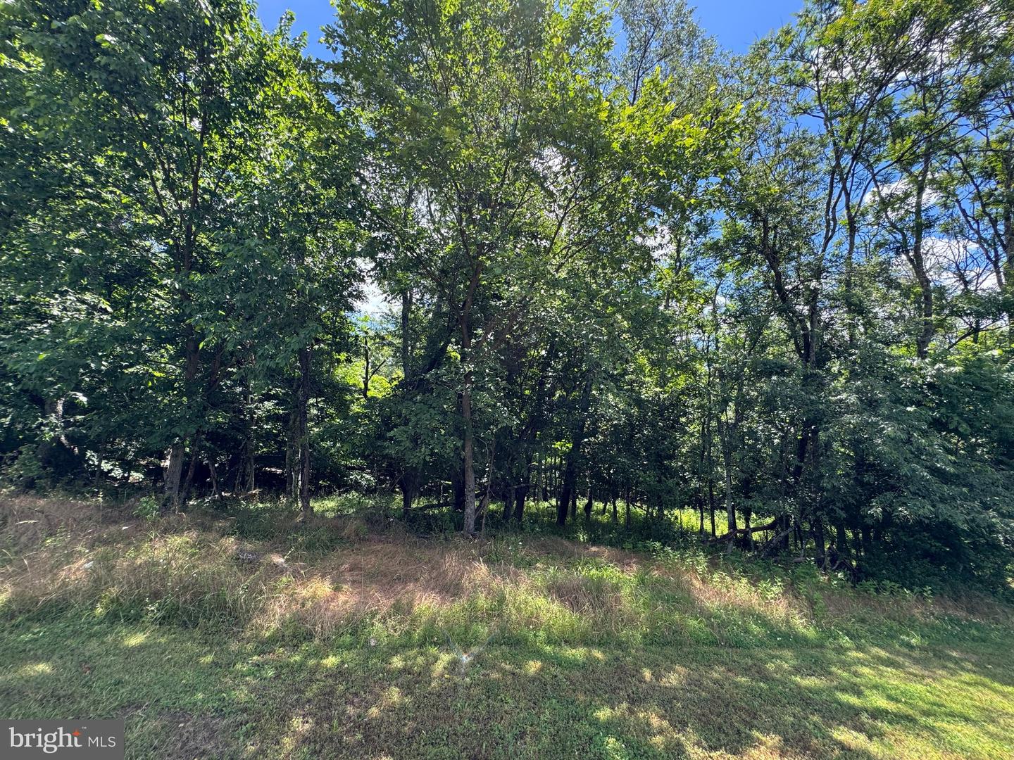 522 #sand Mine Rd Corner Property Photo 3