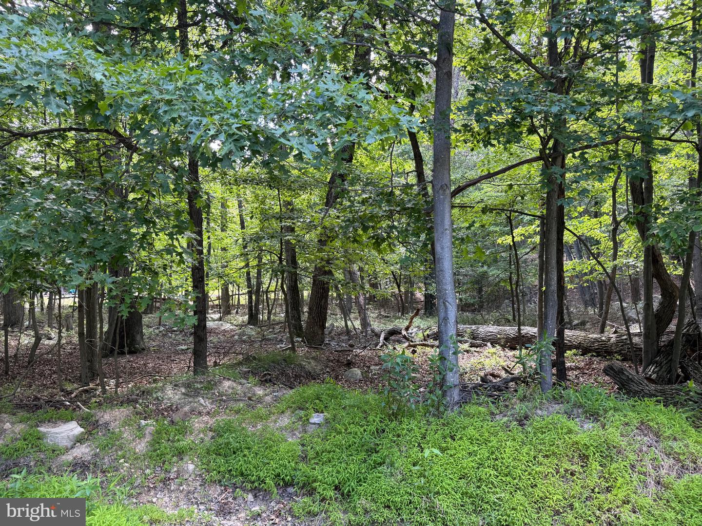 Roberts Rd Property Photo 2