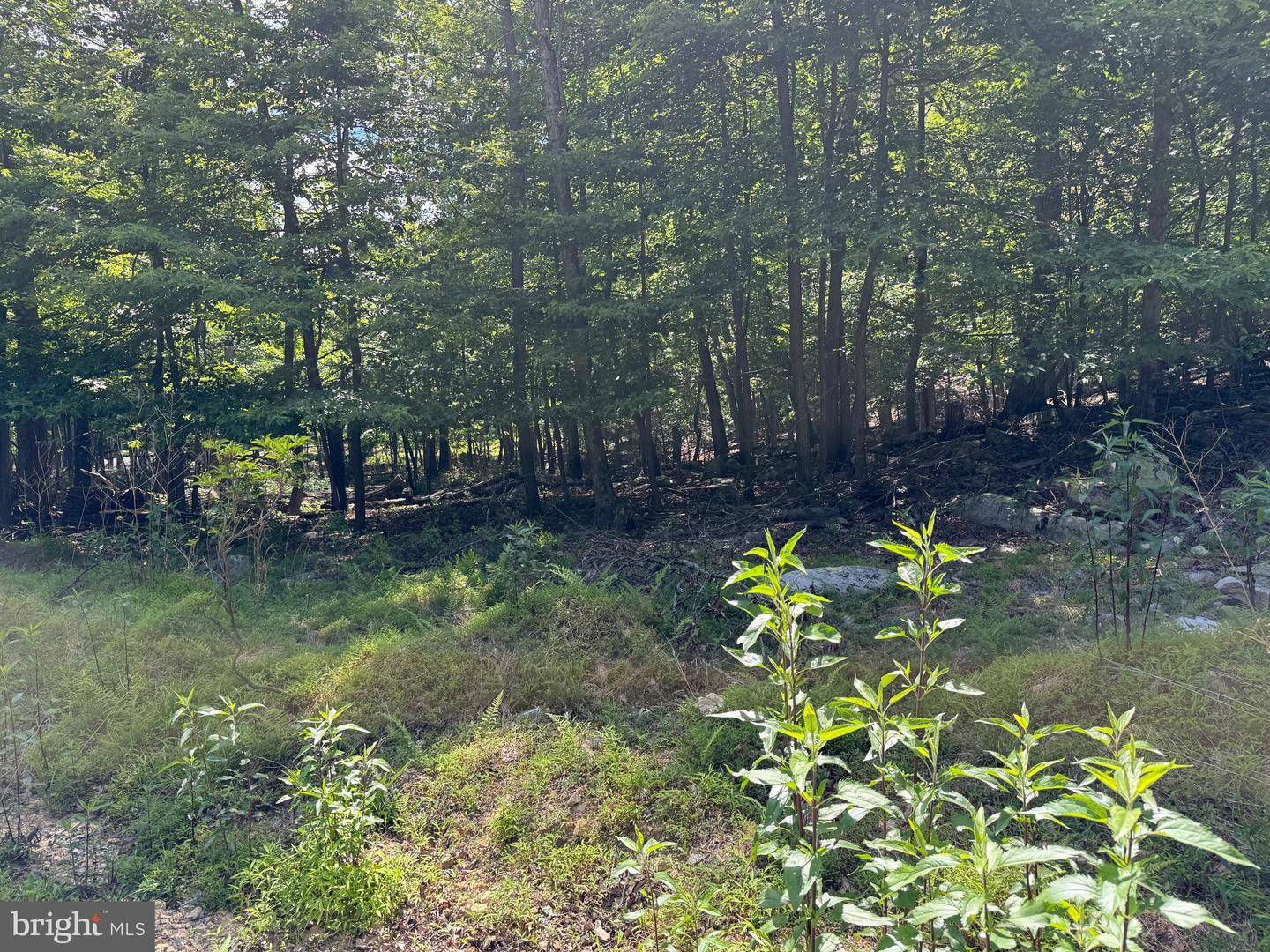 Roberts Rd Property Photo 3