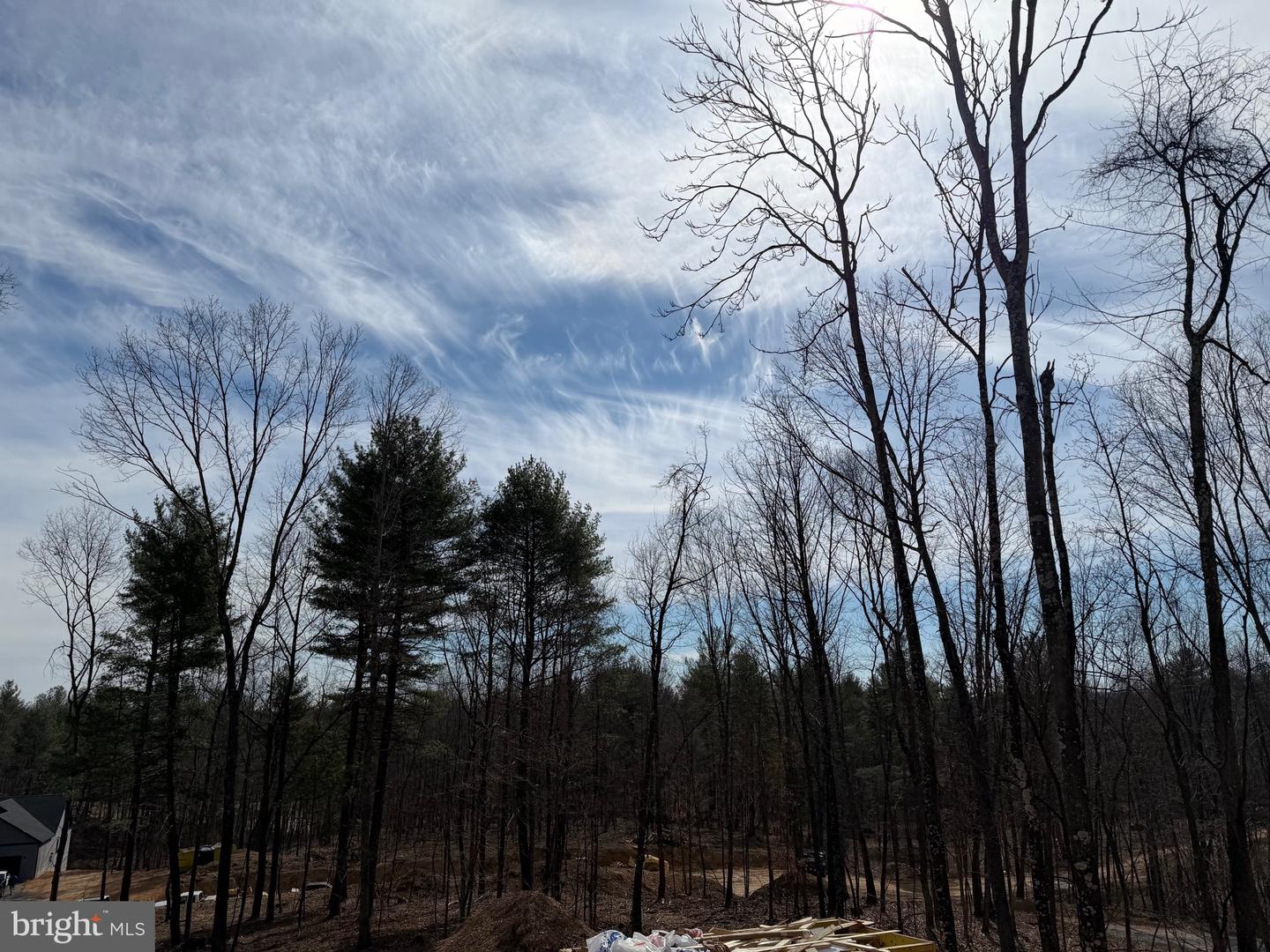 Lot 41 Spicebush (garage) Ct Property Photo 25