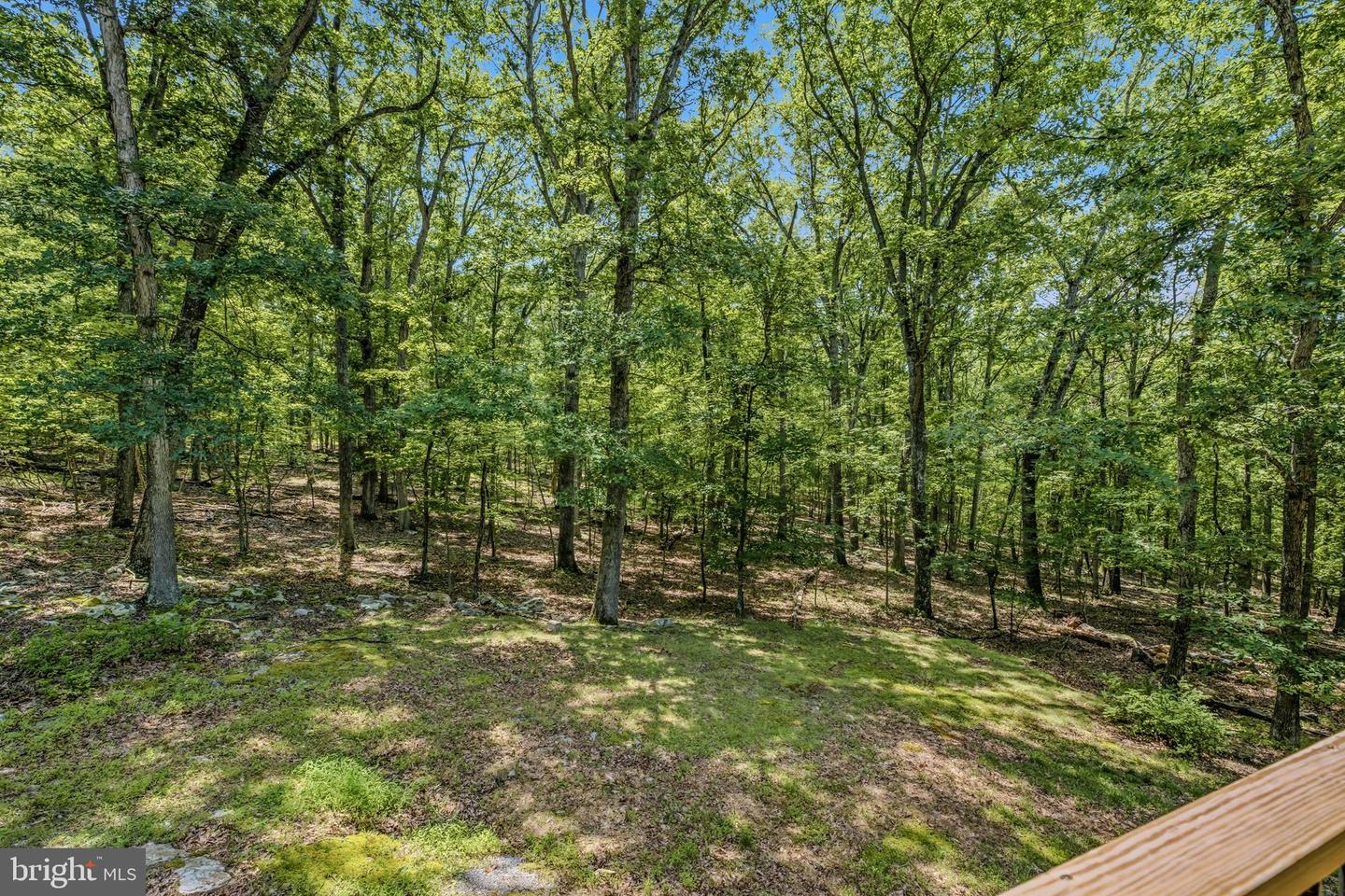 250 Flat Ridge Rd Property Photo 41