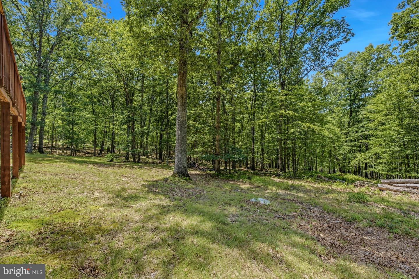 250 Flat Ridge Rd Property Photo 43