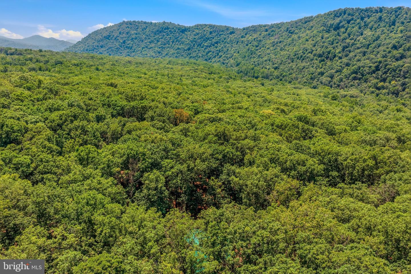 250 Flat Ridge Rd Property Photo 47