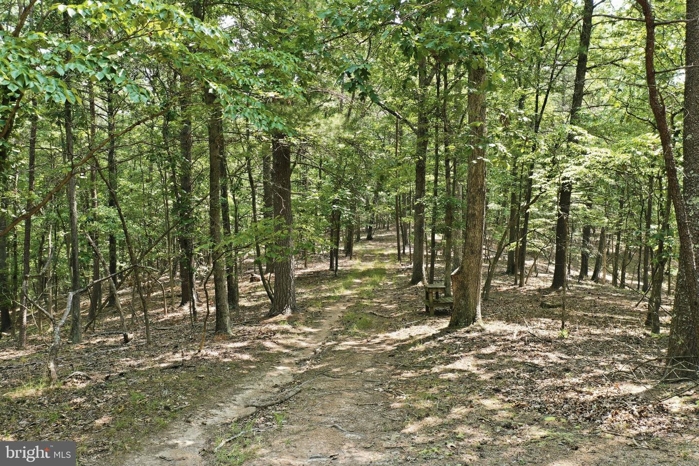 Chase Woods Lane Lots 2-6 Property Photo 2