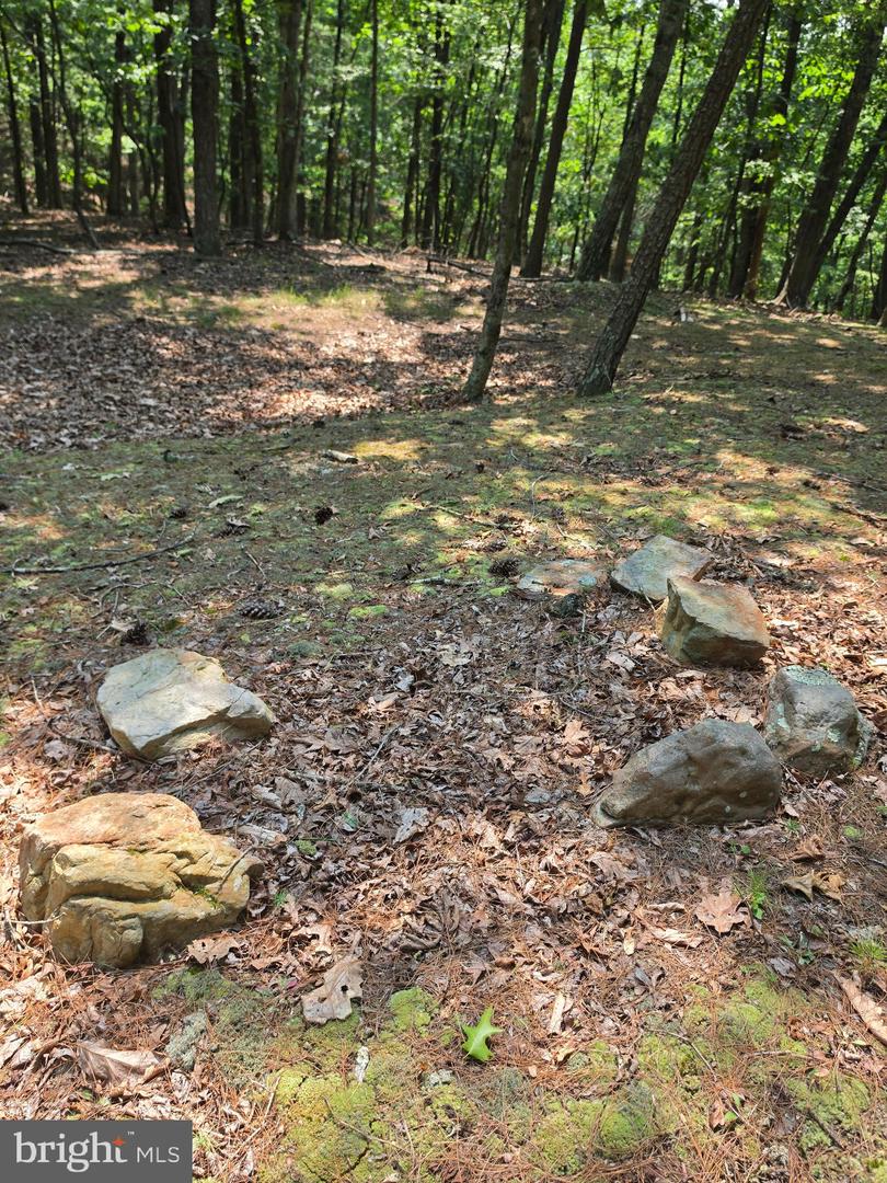 Chase Woods Lane Lots 2-6 Property Photo 4