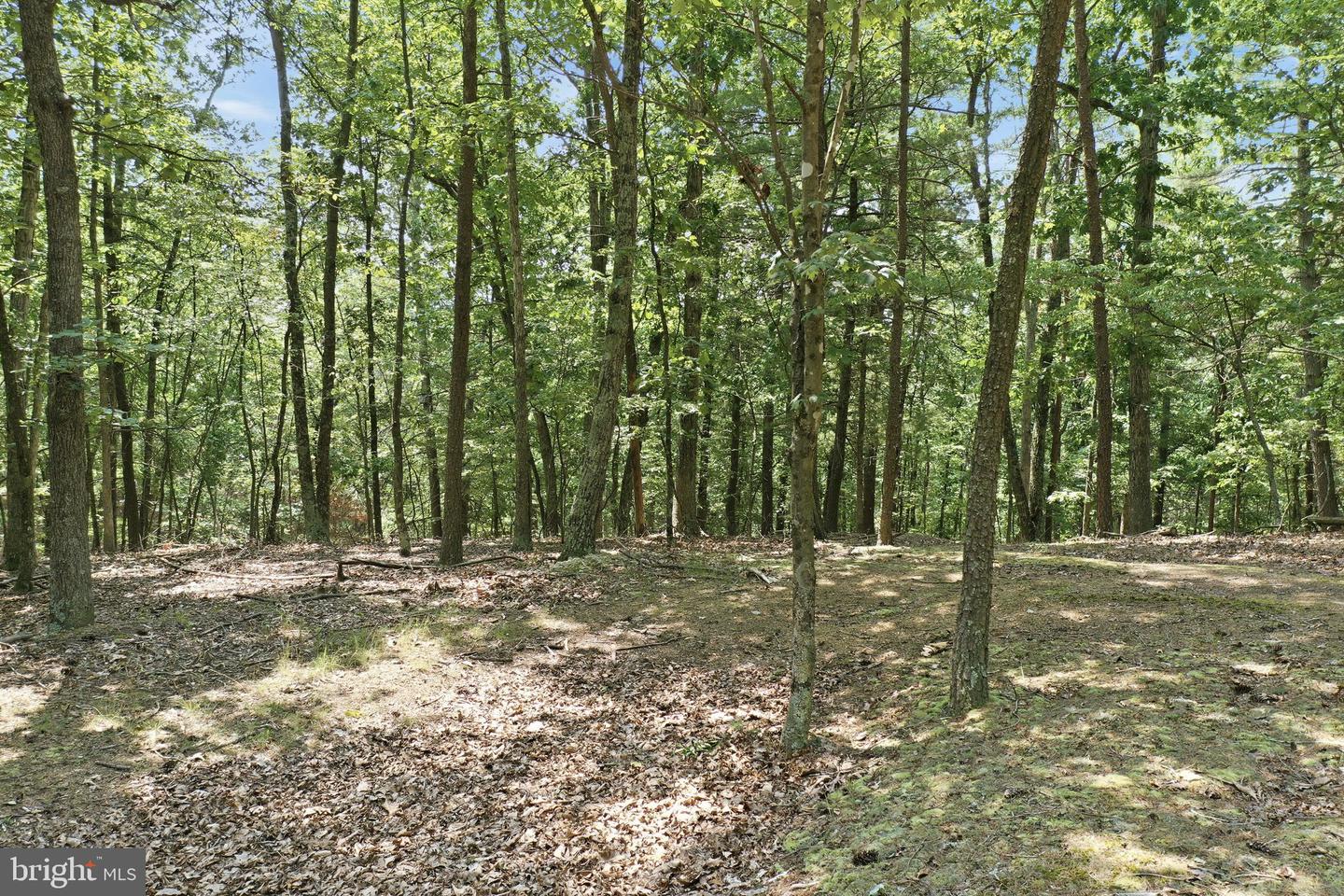 Chase Woods Lane Lots 2-6 Property Photo 6