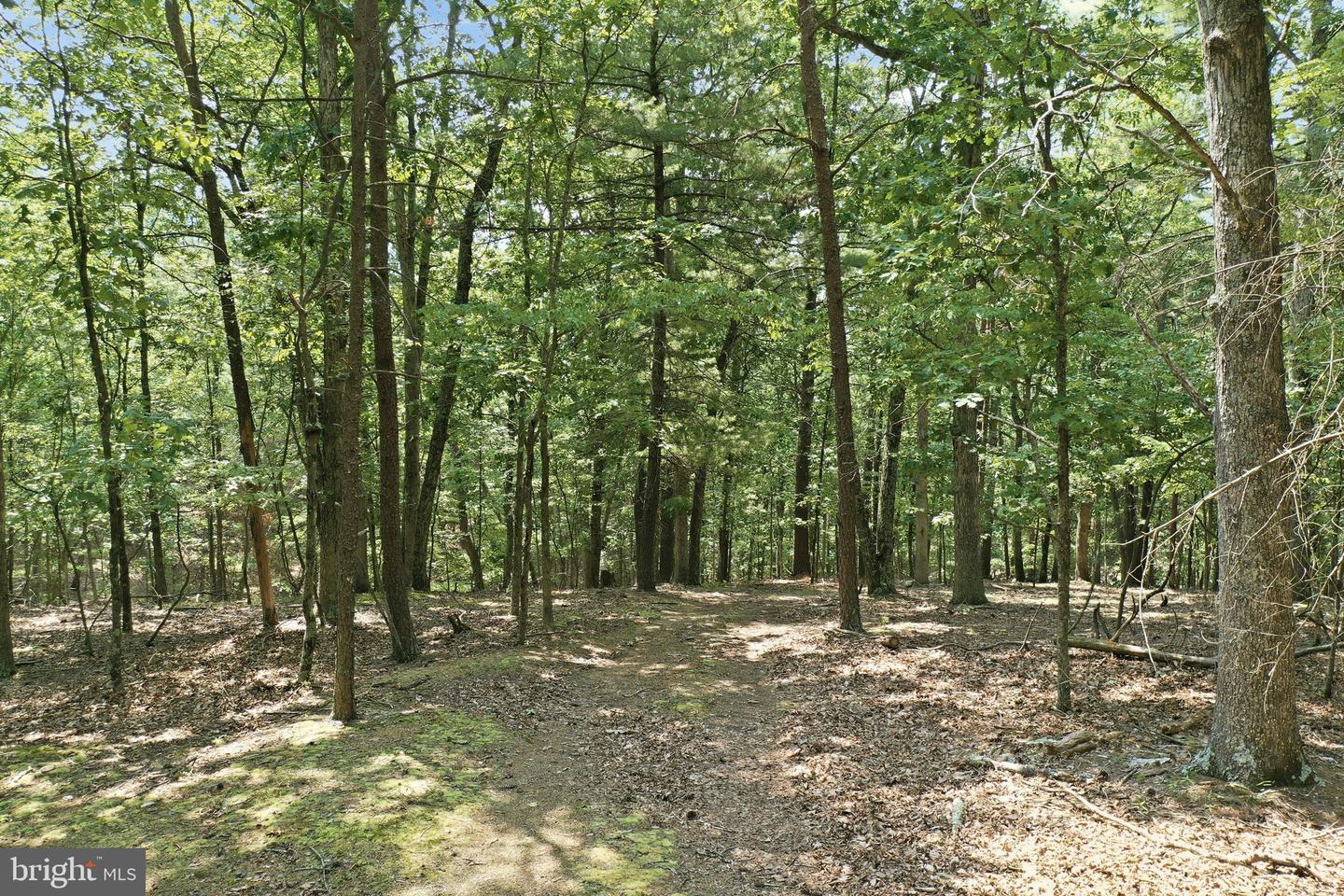 Chase Woods Lane Lots 2-6 Property Photo 7