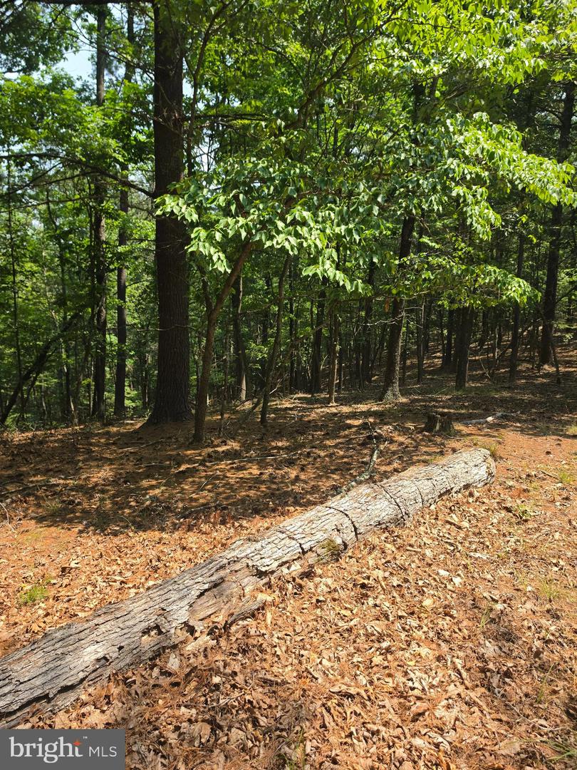 Chase Woods Lane Lots 2-6 Property Photo 10