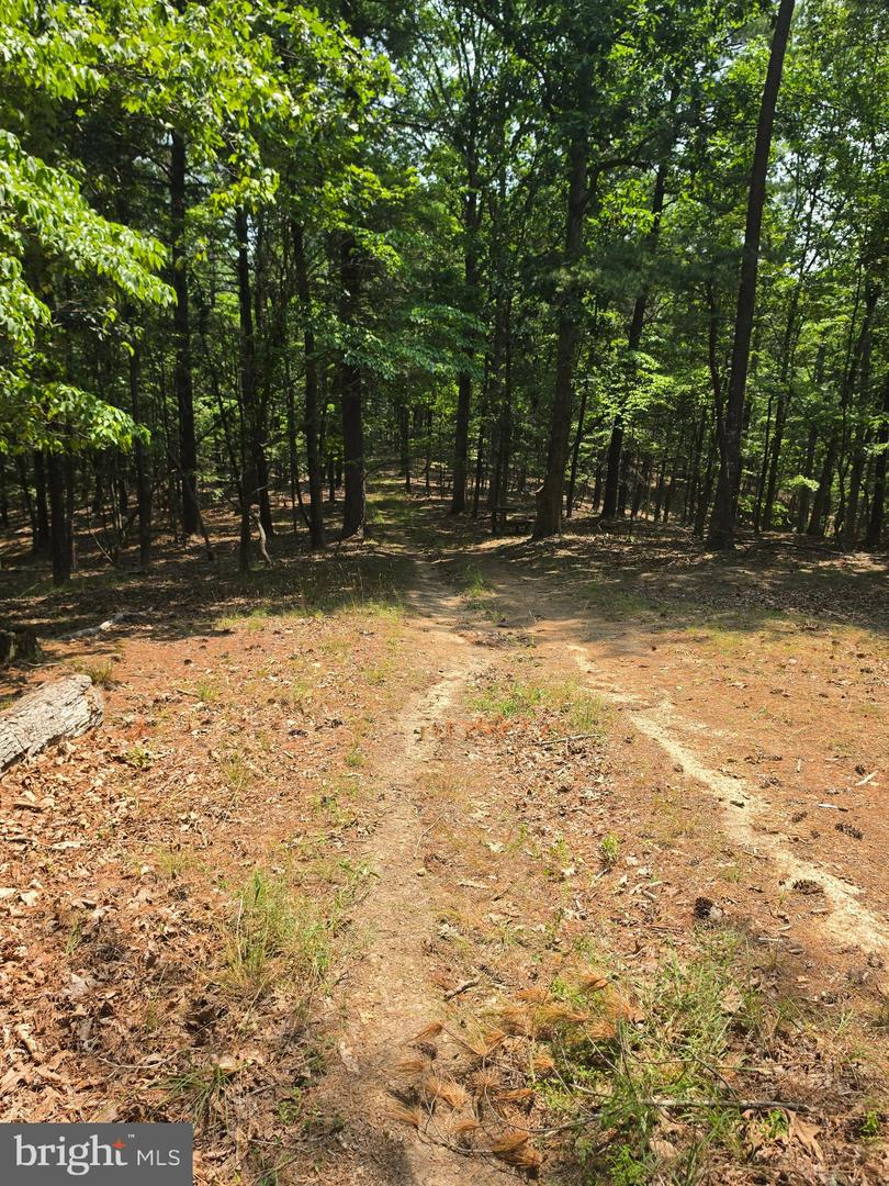 Chase Woods Lane Lots 2-6 Property Photo 11