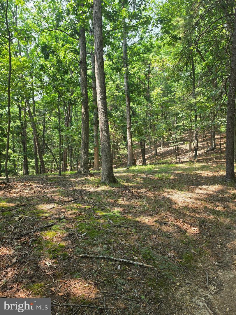 Chase Woods Lane Lots 2-6 Property Photo 12