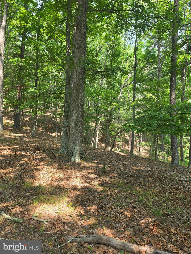 Chase Woods Lane Lots 2-6 Property Photo 14
