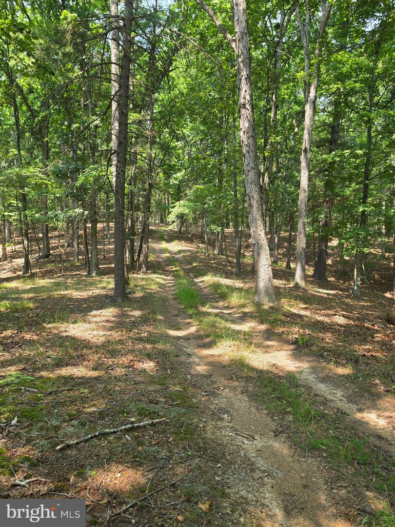 Chase Woods Lane Lots 2-6 Property Photo 15